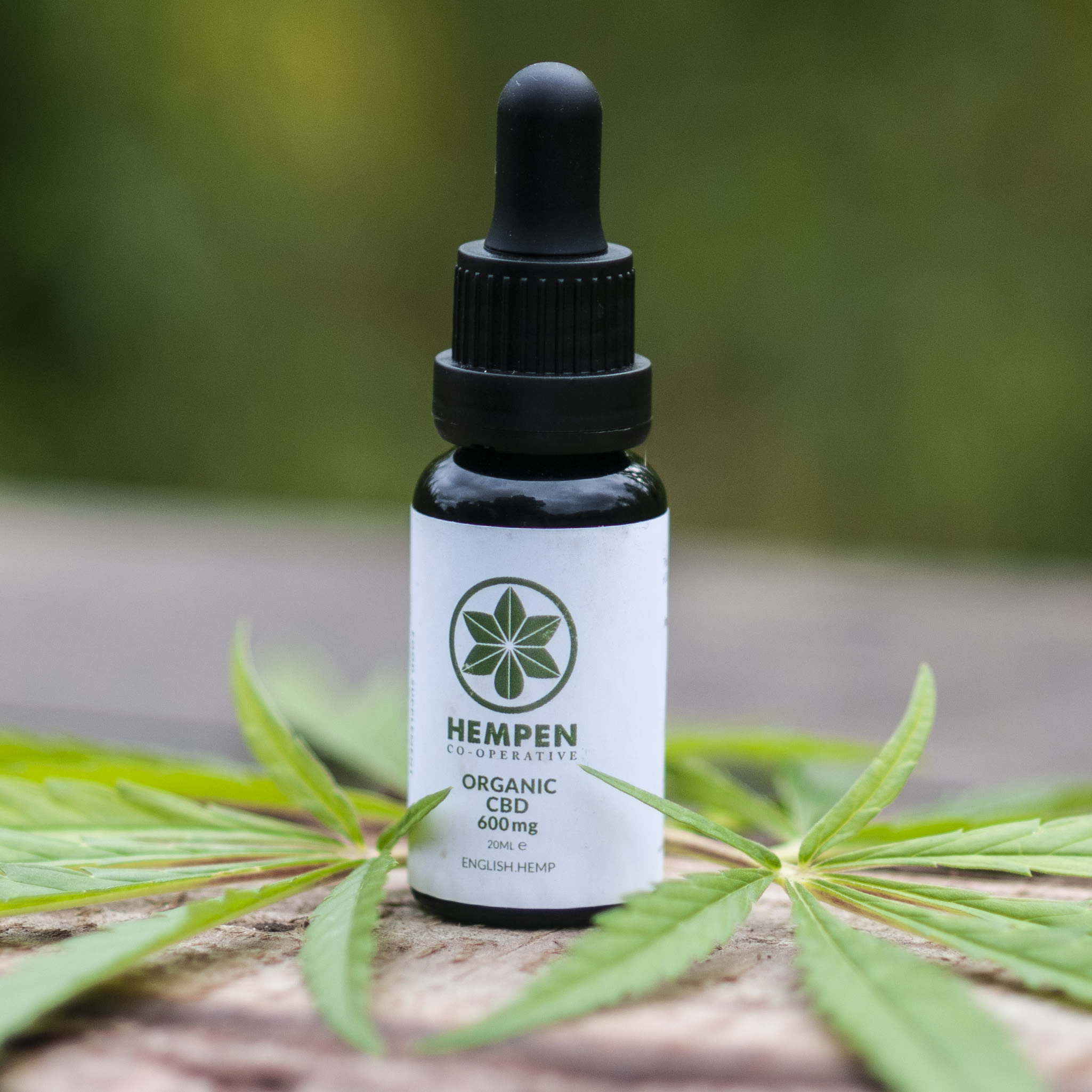 CBD Oil- Guide to Health Benefits that Guarantee a Healthy S